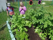 Zahradničíme ve školce